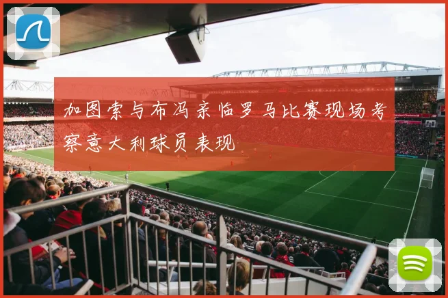 加图索与布冯亲临罗马比赛现场考察意大利球员表现